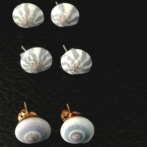 Seashell stud earrings